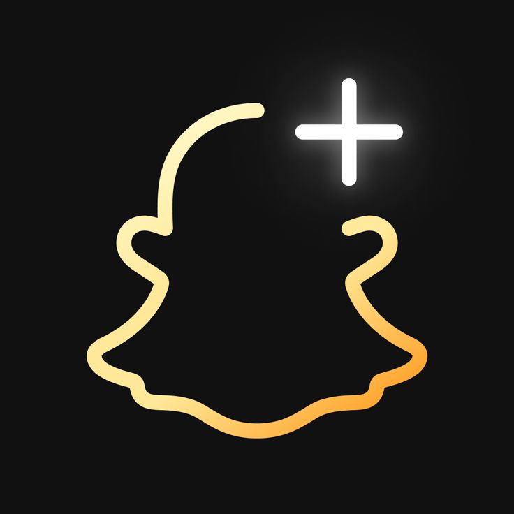 Snapchat plus 1 Year